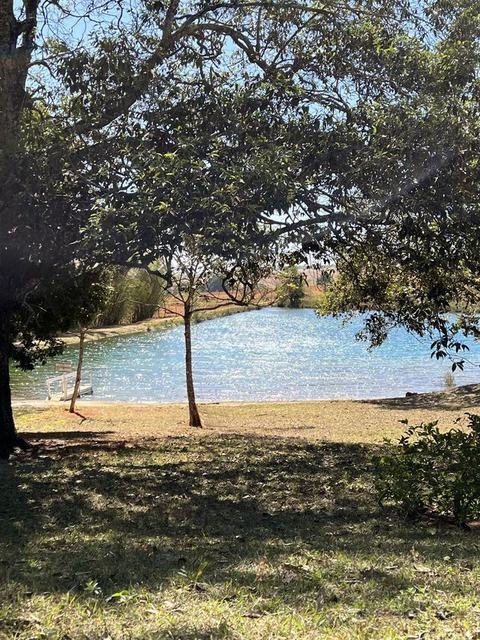 Lago da fazenda sob as árvores